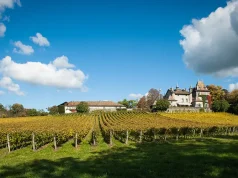 Explore Geneva’s relatively undiscovered wine offering this spring at Open Cellars 2024