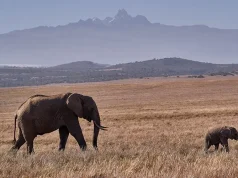 Lengishu – Luxury Safari Home Receives GER Status, Kenya