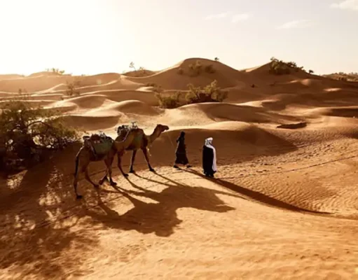 Discover Budget-Friendly Ways to Explore Saudi Arabia’s Holy Land