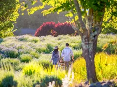 Sonoma County What’s New in May 2024