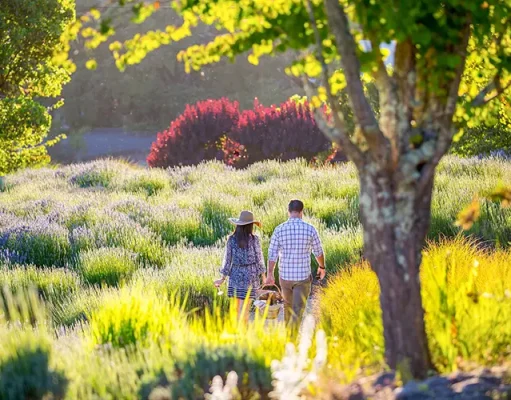 Sonoma County What’s New in May 2024