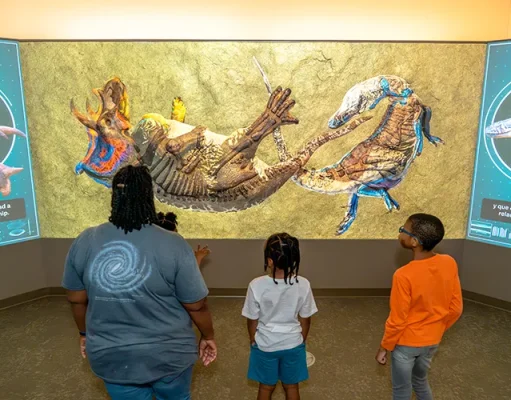 ‘Dueling Dinosaurs’ Exhibit and Paleontology Lab Unveiled in Raleigh