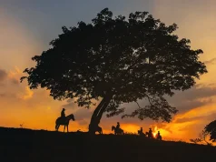 Best Adventure Travel Ideas for 2024