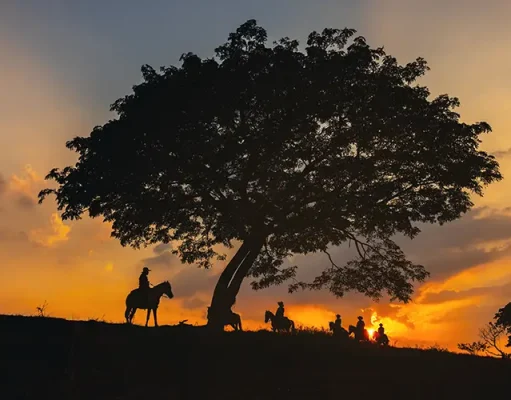 Best Adventure Travel Ideas for 2024