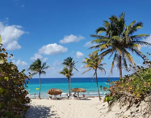 How Luxury Retreats are Leading the Charge in Sustainable Tourism