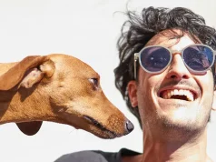 The Ultimate Guide to Traveling with Your Pup for a Stress-Free Journey