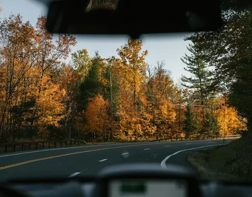 What to Look for When Buying a Roof Rack for Your Road Trip