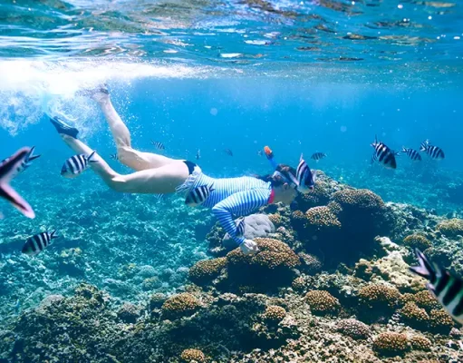 How to Have an Unforgettable Time Snorkeling in Maui Woman with mask snorkeling in clear water
