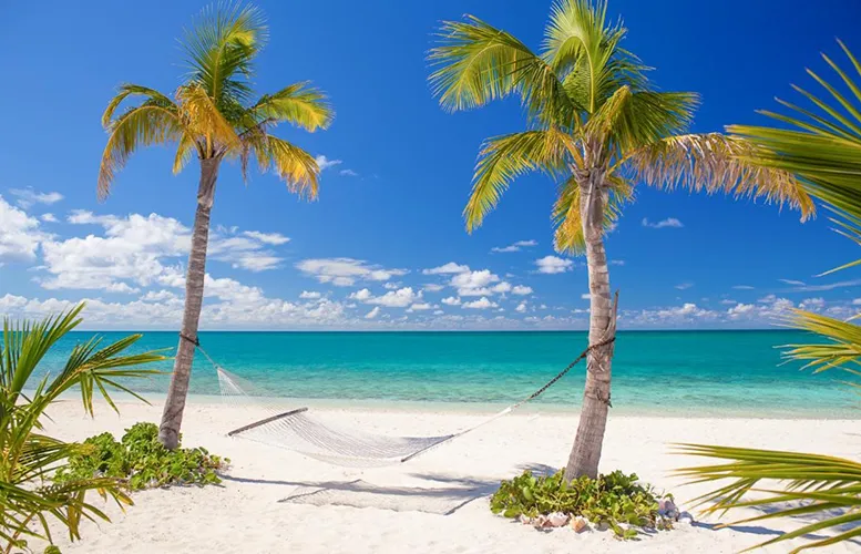 Bahamas Ministry of Tourism copy