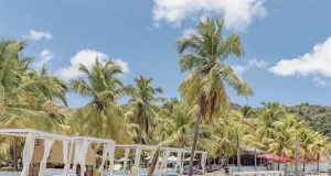 Sunset Sips and Coastal Cuisine at Antigua and Barbuda’s Famous Beach Bars