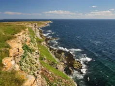 New Wild Varanger Experience from Up Norway for Summer