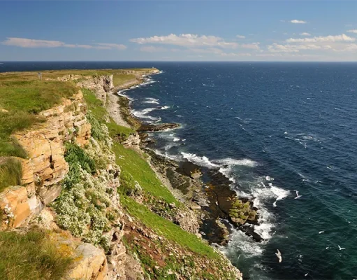 New Wild Varanger Experience from Up Norway for Summer