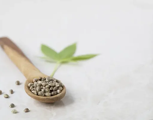 Why More Gardeners Are Turning to Legal Marijuana Seeds