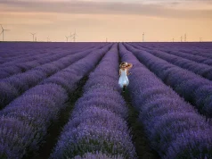 Fairytale Breaks for Your List