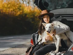 The Ultimate Guide to Pet Friendly Travel in the USA: Top Trips & Tips