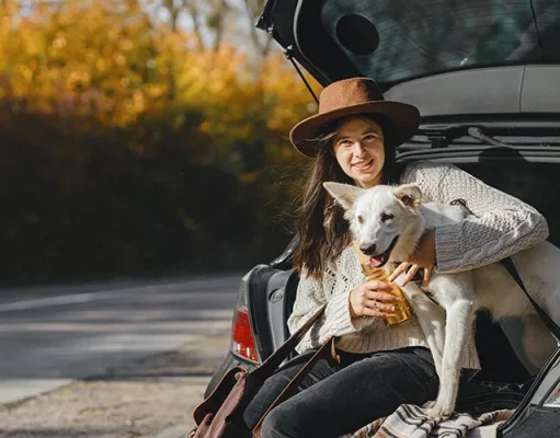 The Ultimate Guide to Pet Friendly Travel in the USA: Top Trips & Tips