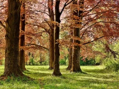 Things to Do in Fort Collins, Colorado: Top Activities and Attractions