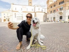 15 Great Travel Tips for Dog Owners