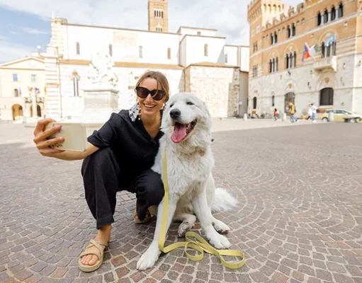 15 Great Travel Tips for Dog Owners
