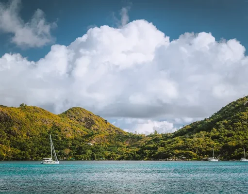 Why It’s Never Too Late to Become a Sailor