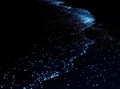 Discover the Maldives’ Best-Kept Secret: Glowing Beaches at Nova!