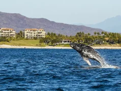Discover the Hidden Gems of Nayarit: From Majestic Islands to Historic Ghost Towns