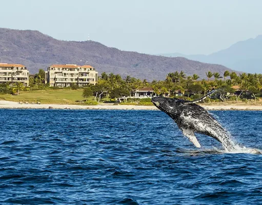 Discover the Hidden Gems of Nayarit: From Majestic Islands to Historic Ghost Towns