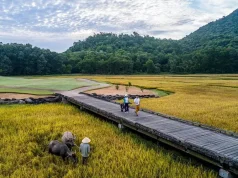 Vietnam Golf Coast Evokes a Sense of Place This Summer