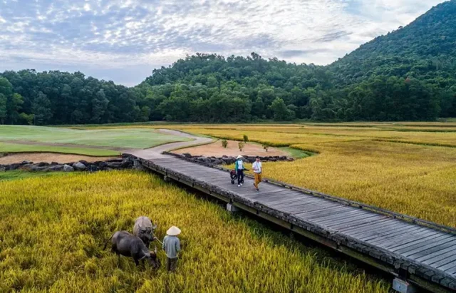 Laguna Golf Lang Co copy
