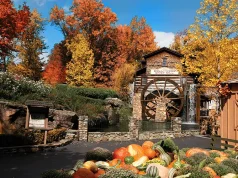 Roundup: The South’s Best Fall Events