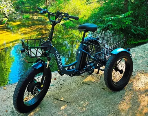 The Perfect E-trike Solution for Heavier Loads