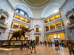 Set-Jet Your Way Through Washington, D.C.’s Iconic Film Locations