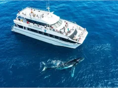 Australia’s Top New Experiences: From Indigenous Journeys to Trendsetting Hotels and Dining