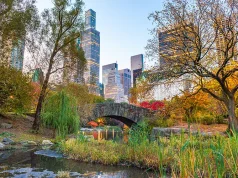 Explore NYC: Top 10 Landmarks You Can’t Miss