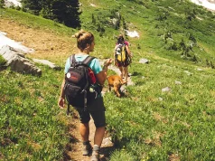 Best Places to Stay for a Family Trip in Colorado