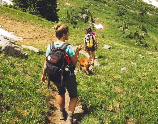 Best Places to Stay for a Family Trip in Colorado