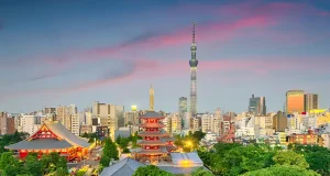 Auckland to Tokyo Flights – The Ultimate 2025 Travel Guide