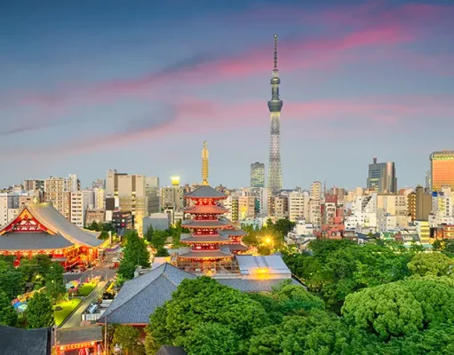 Auckland to Tokyo Flights – The Ultimate 2025 Travel Guide