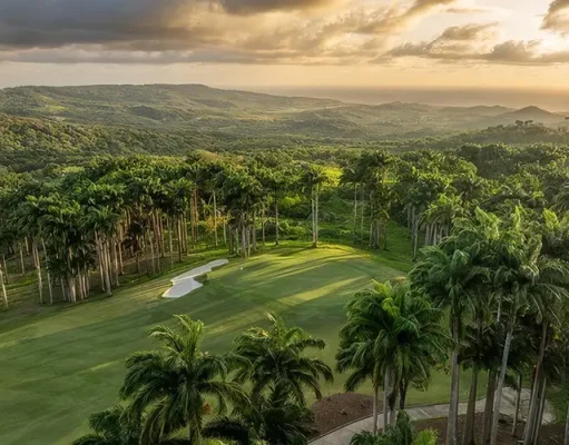 What’s New in Barbados for Canadian Visitors