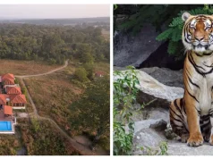 An Exquisitely Located Private Villa in Pench Tiger Reserve, India