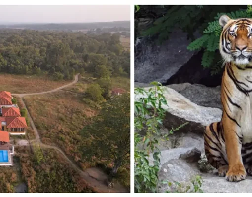 An Exquisitely Located Private Villa in Pench Tiger Reserve, India
