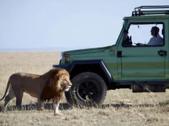 Safari Adventure Checklist: What to Pack and Prepare for Your Ultimate Wildlife Journey