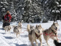 Montana: Winter is a Magical Season at Triple Creek Ranch