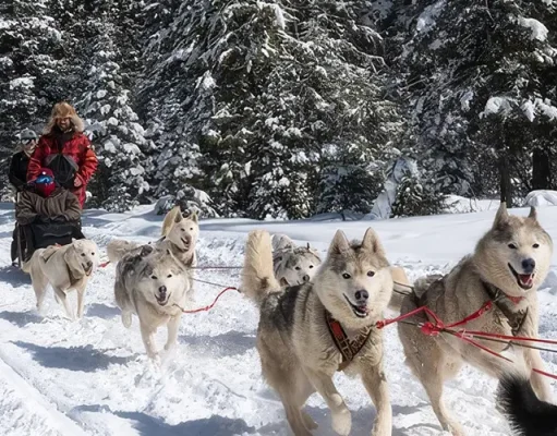 Montana: Winter is a Magical Season at Triple Creek Ranch