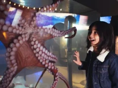 Vancouver Aquarium Launches Fin-Tastic Fall Days