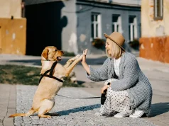 Safe Travels with Your Emotional Support Animal