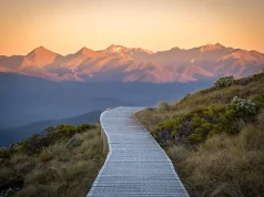 New Zealand’s 11th Great Walk: Tuatapere Hump Ridge Track