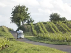 Discover the unexpected this Autumn, with guided tours in Geneva