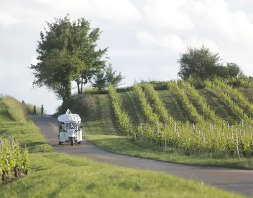 Discover the unexpected this Autumn, with guided tours in Geneva