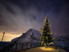 Discover the Enchanting Christmas Markets of Grindelwald